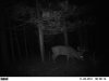 rut spot (1).jpg