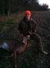 2011 Deer.jpg