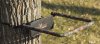 rail.jpg