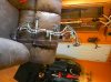 DSCN1206.jpg