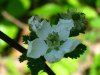 IMG_0941.jpg