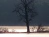 100_5913.jpg