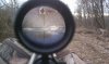 uploadfromtaptalk1326834357409.jpg