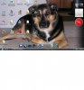 Desk Top.jpg
