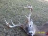 11-18-08 The Squirrel Buck.jpg