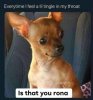 FB_IMG_1584552356109.jpg