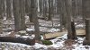 20200325_151310.jpg