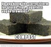 compost.jpg