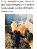 FB_IMG_1586143517295.jpg
