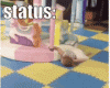 11122.gif