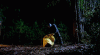 tumblr_oqoqb9CWp31ut1d6co1_r1_500.gif