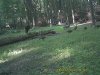 PICT0001 (22).JPG