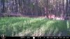 20170510073730_0.JPG