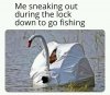 fishing.jpg