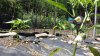 20200626_111646.jpg
