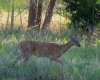 DSC_9431.jpg