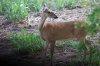 DSC_9441.jpg