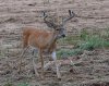 DSC_9470.jpg