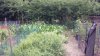 20200727_115721.jpg