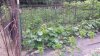 20200727_115704.jpg