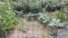20200727_115532.jpg
