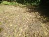 20200731_094533.jpg