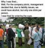 cups.jpg