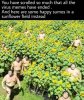 FB_IMG_1596743298909.jpeg