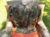 DSCN5095.JPG