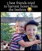 bee hive.jpg