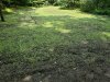 20200809_121627.jpg