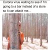 FB_IMG_1597109859749.jpg