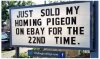 FB_IMG_1597142860903.jpeg