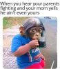 FB_IMG_1597255776643.jpeg