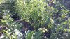 20200814_094821.jpg