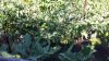20200814_094613.jpg