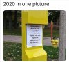 FB_IMG_1597690533780.jpg