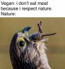 FB_IMG_1597701930501.jpeg
