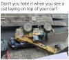 FB_IMG_1597702068207.jpeg