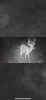 A81D9DC2-491D-424D-9EF3-B69A6F5C30CE.png