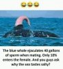 36C00E56-5097-45AB-8318-D210B4462B6F.jpeg