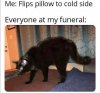 FB_IMG_1597775580065.jpg