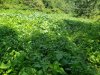 20200820_104508.jpg