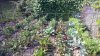 20200820_102633.jpg