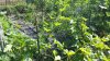 20200820_102507.jpg