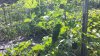 20200820_102455.jpg