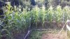 20200820_102422.jpg