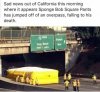 FB_IMG_1598022806363.jpeg