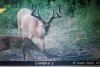 20200822_010606.jpg