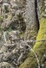 good camo.jpg